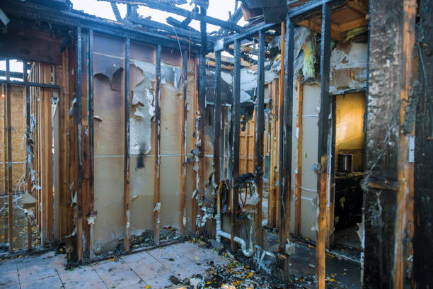 Professional Fire Damage Repair technician working in Mount Olive, IL